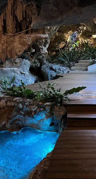cantarrana-iluminacion-cenote-instalaciones-electricas-riviera-maya